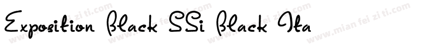 Exposition Black SSi Black Italic字体转换